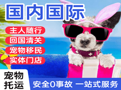 图木舒克唐王城机场空运国际宠物托运 【国